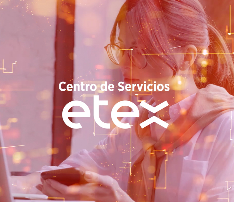Portal de Clientes Etex